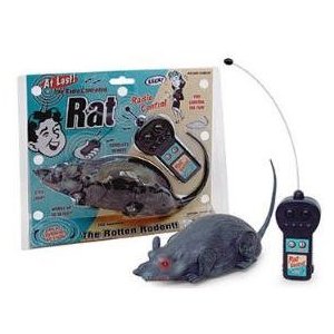 remote control rat