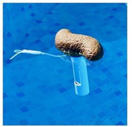 funny floating poop pool thermometer